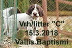 vrh c 15032018