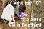 vrh c 15032018