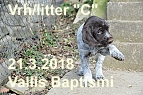 vrh c 15032018