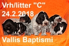 vrh c 24022018