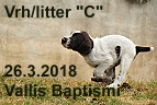 vrh c 15032018