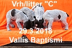 vrh c 15032018