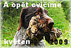 nácvik na les 0509