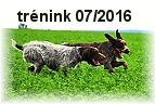 vycvik 07 2016