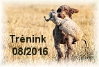 vycvik 07 2016