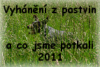 vyhaneni 2011