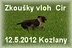 Foto ZV Cir